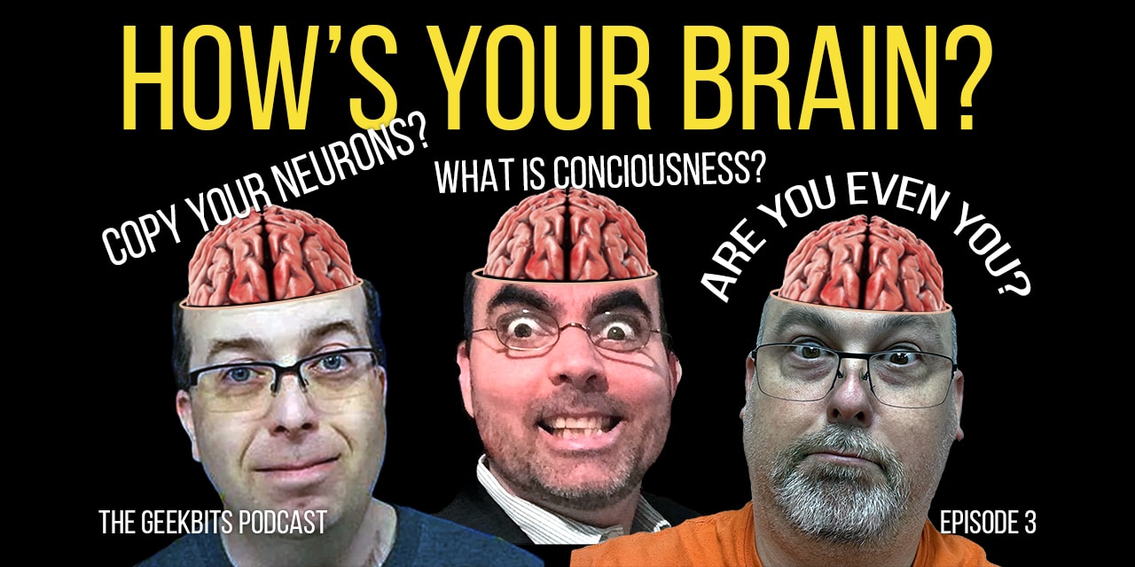你的大脑